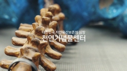 대한민국 자연유산보존의 심장 천연기념물센터 재개관 티저영상 (매머드복원) 이미지